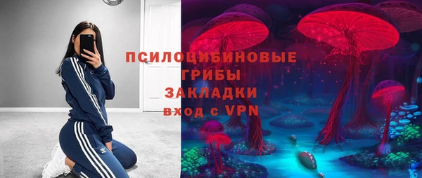 СК Дмитровск