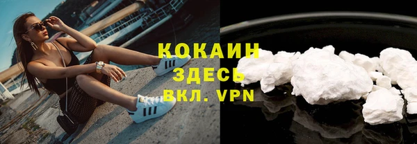 СК Дмитровск