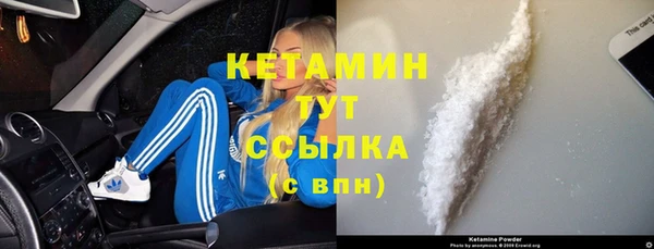 СК Дмитровск