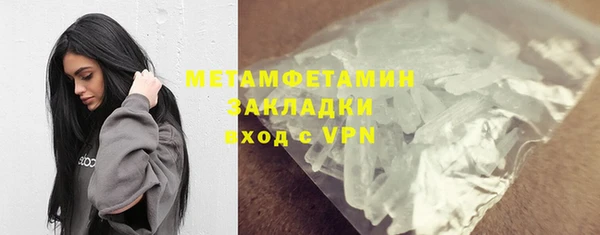 прущие грибы Гусиноозёрск