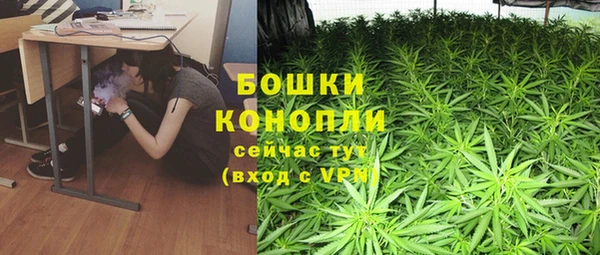 СК Дмитровск