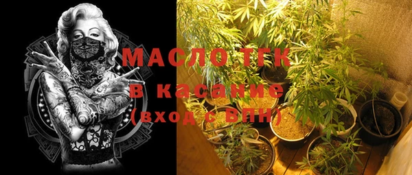 СК Дмитровск