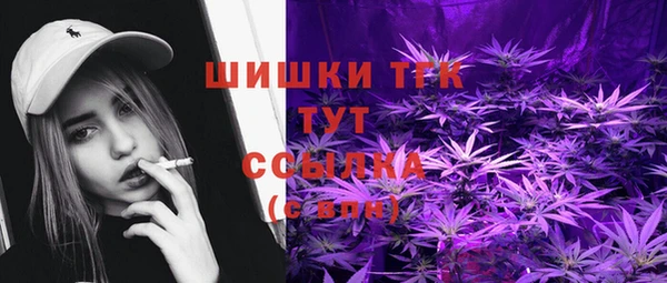 прущая мука Гусев