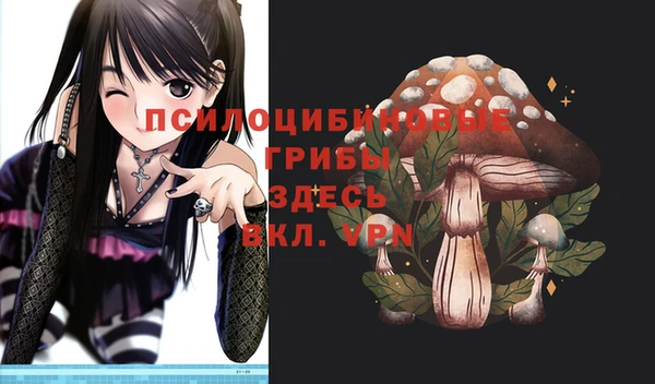 ГАЛЛЮЦИНОГЕННЫЕ ГРИБЫ Дмитров