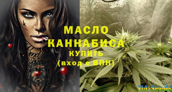 СК Дмитровск